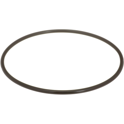 DELPHI - FA10036 - Fuel Pump Tank Seal pa1