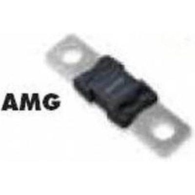 Ignition Fuse by BUSSMANN - AMG100 pa8