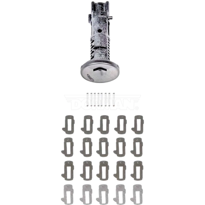 Ignition Lock Cylinder by DORMAN (OE SOLUTIONS) - 924-721 pa4