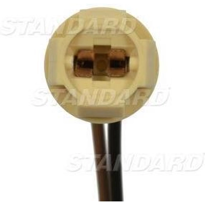 Lamp Socket by BLUE STREAK (HYGRADE MOTOR) - S100 pa50