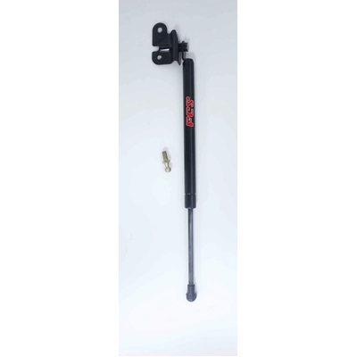 Lift Support by FCS AUTOMOTIVE - 84913 pa1