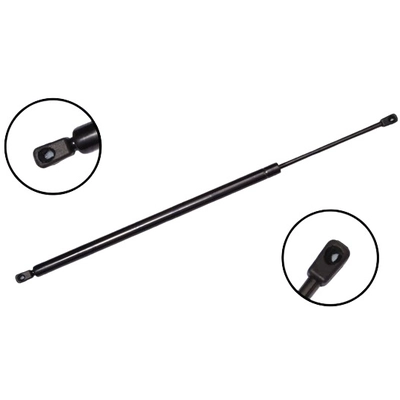 FCS AUTOMOTIVE - 87061 - Liftgate Lift Support pa1