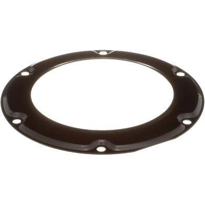 DELPHI - FA10037 - Fuel Tank Lock Ring pa1