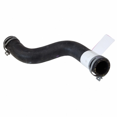 Lower Radiator Or Coolant Hose by MOTORCRAFT - KM4988 pa3