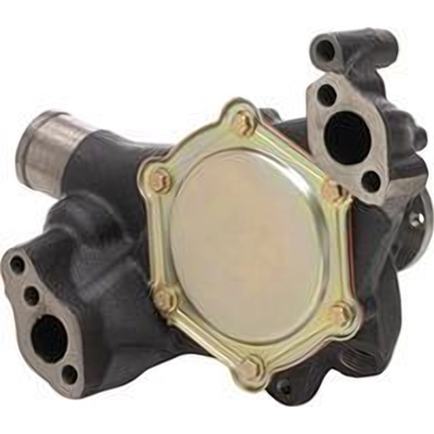 New Water Pump by DAYCO - DP10031 pa1