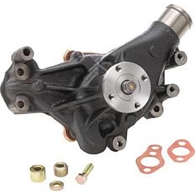 New Water Pump by DAYCO - DP10031 pa2