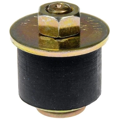 Oil Galley Plug by DORMAN/AUTOGRADE - 02600 pa1