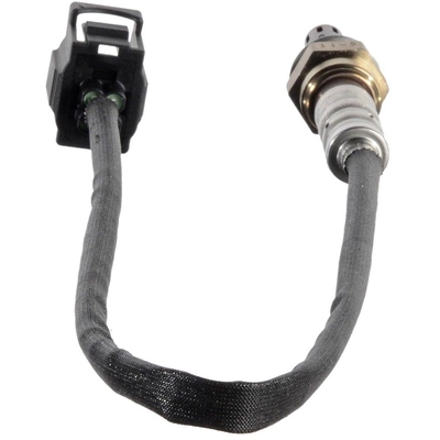 BOSCH - 18125 - Oxygen Sensor pa10