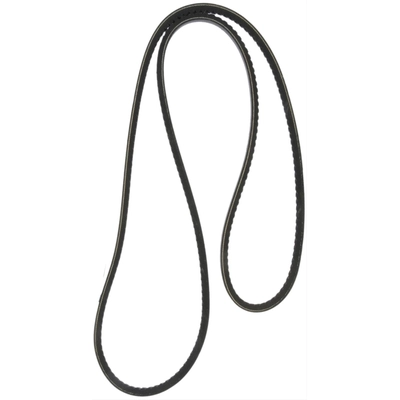 CONTINENTAL - 15525 - Serpentine Belt - Automotive V-Belt pa1