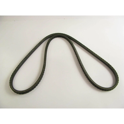 Power Steering Belt by DAYCO - 15505 pa14