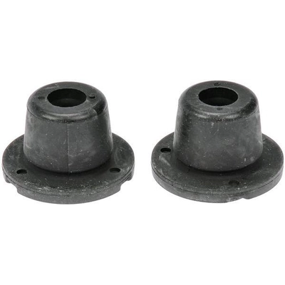 DORMAN (OE SOLUTIONS) - 926-280 - Radiator Mount Bushing pa3