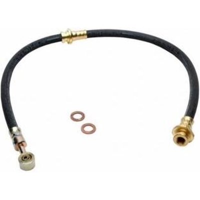 Rear Brake Hose by RAYBESTOS - BH380487 pa7