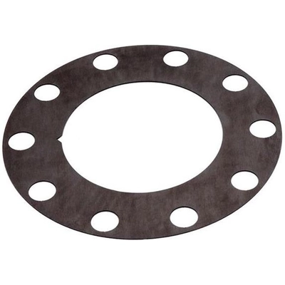 Rear Brake Rotor Shim by RAYBESTOS - BA40206 pa1