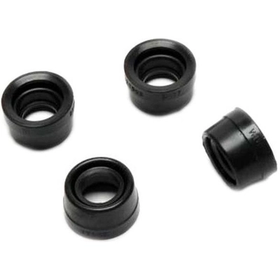 RAYBESTOS - H16104 - Rear Caliper Bushing pa2