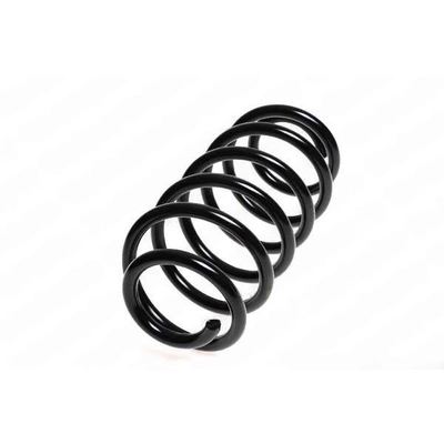 LESJOFORS - 4242101 - Rear Coil Springs pa1