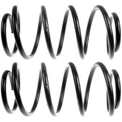 MOOG - 80919 - Rear Coil Springs pa2