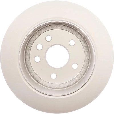 ACDELCO - 18A2794PV - Rear Disc Brake Rotor (Police) pa2