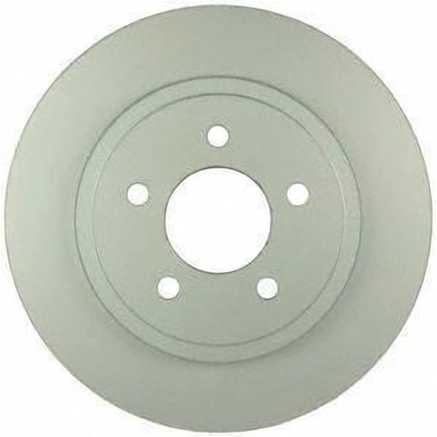 Rear Disc Brake Rotor by BOSCH - 20010434 pa1