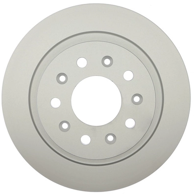 RAYBESTOS - 581999FZN - Rear Disc Brake Rotor pa1