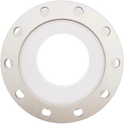 Rear Disc Brake Rotor by RAYBESTOS - 8554 pa1