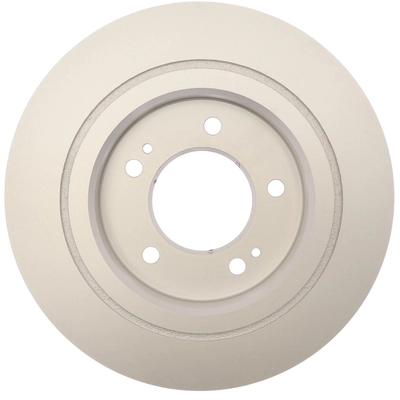 RAYBESTOS - 981009FZN - Rear Disc Brake Rotor pa2