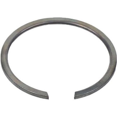 Rear Wheel Bearing Retainer by SKF - CIR270 pa1