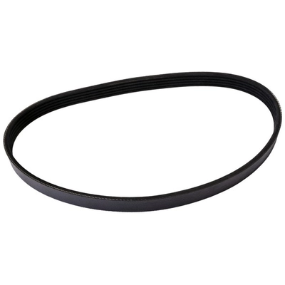 CONTINENTAL - 4050335 - Serpentine Belt - Automotive V-Belt pa1