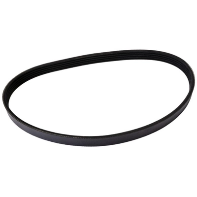 CONTINENTAL - 4050405 - Serpentine Belt - Automotive V-Belt pa1