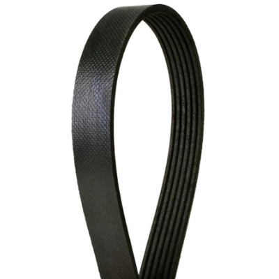 CONTINENTAL - 4050562 - Serpentine Belt - Automotive V-Belt pa2