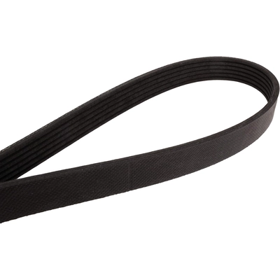 CONTINENTAL - 4060370 - Serpentine Belt - Automotive V-Belt pa1