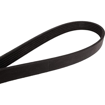 CONTINENTAL - 4060522 - Serpentine Belt by - Automotive V-Belt pa1