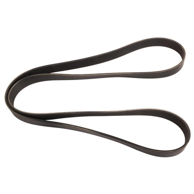 CONTINENTAL - 4060952 - Serpentine Belt - Automotive V-Belt pa1