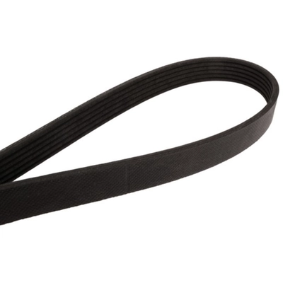 CONTINENTAL - 4061080 - Serpentine Belt - Automotive V-Belt pa2