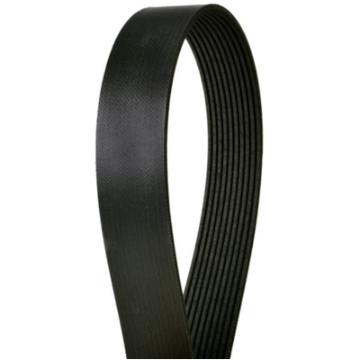 CONTINENTAL - 4061250 - Serpentine Belt - Automotive V-Belt pa2