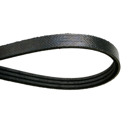 CONTINENTAL - 4070762 - Serpentine Belt pa2