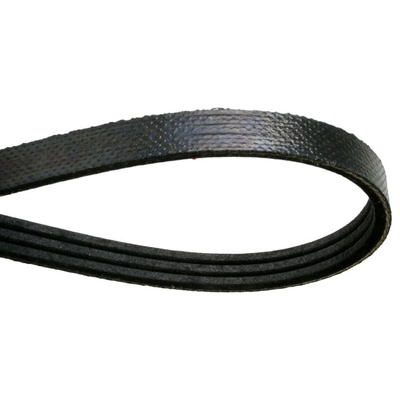 CONTINENTAL - 4081207F - Multi V-Belt pa3