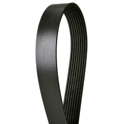 CONTINENTAL - 4081331- Serpentine Belt - Automotive V-Belt pa1