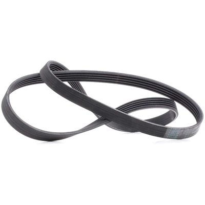 CONTINENTAL - 5PK1345 - Serpentine belt pa1