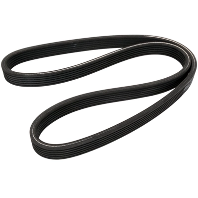 CONTINENTAL - 6DPK1825 - Serpentine Belt pa2