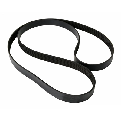 CONTINENTAL - 7PK1035 - Serpentine Belt pa2