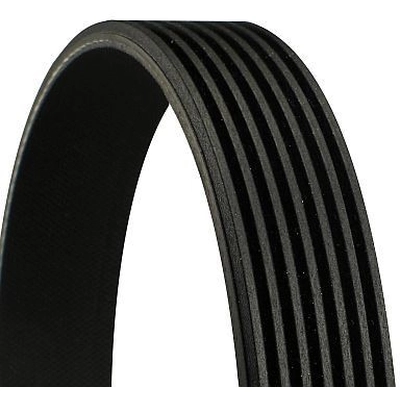 CONTINENTAL - 8PK894EXTRA - Serpentine Belt pa1