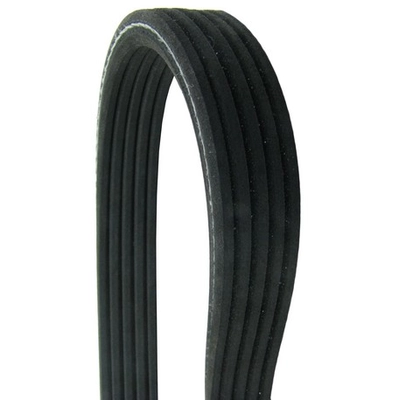 CONTINENTAL - D4050610 - Serpentine Belt - Automotive V- Belt pa2