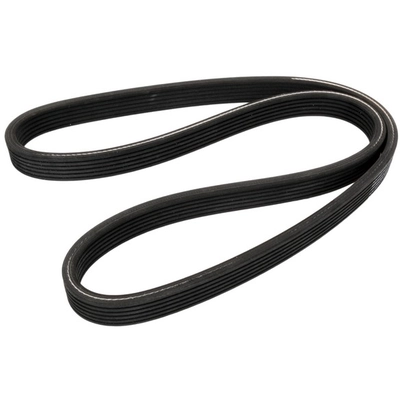 CONTINENTAL - D4060700 - Serpentine Belt - Automotive V - Belt pa1