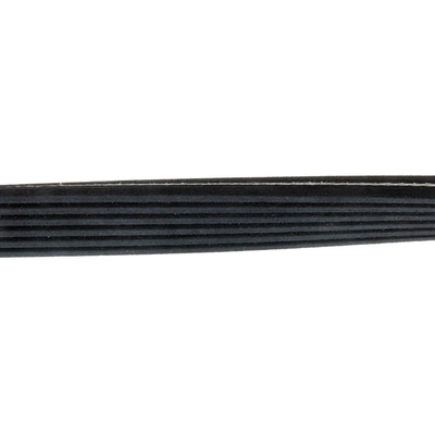 CONTINENTAL - D4060725 - Serpentine Belt - Automotive V- Belt pa1