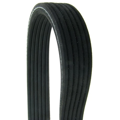 CONTINENTAL - D4060973 - Serpentine Belt - Automotive V-Belt pa2