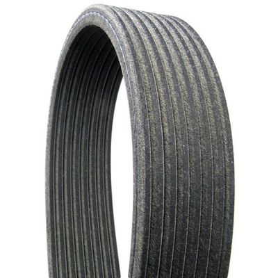 CONTINENTAL - D4081254 - Serpentine Belt - Automotive V-Belt pa1