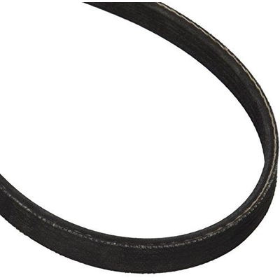 Serpentine Belt by DAYCO - 5040358 pa6