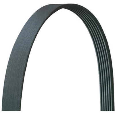 Serpentine Belt by DAYCO - 5040368 pa3