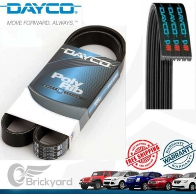 Serpentine Belt by DAYCO - 5060431 pa6