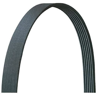 DAYCO - 5060515 - Serpentine Belt pa4